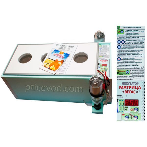 163665765_inkubator-matritsa-vegas.jpg